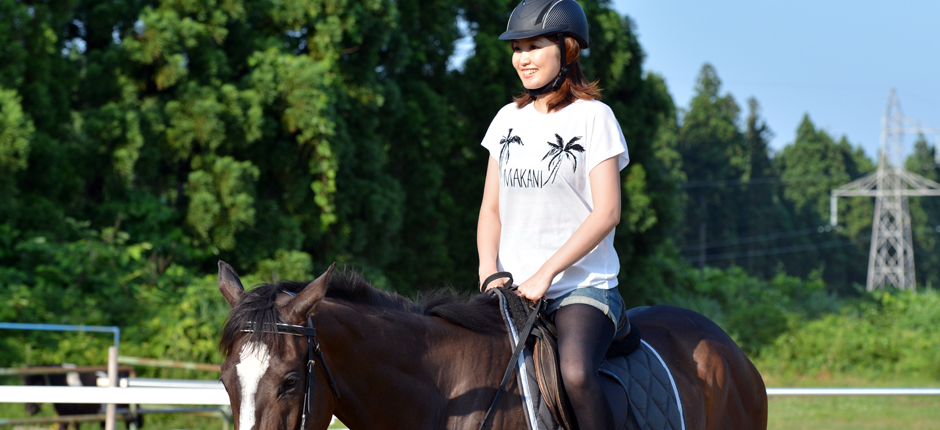 あきた乗馬クラブのホームページです。