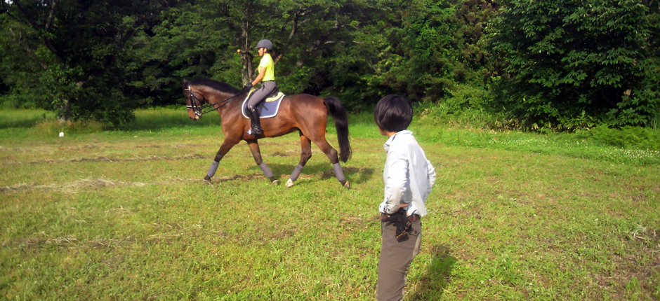 あきた乗馬クラブのホームページです。